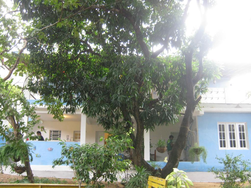 Casa De Temporada Das Mangueiras Olinda Rom bilde